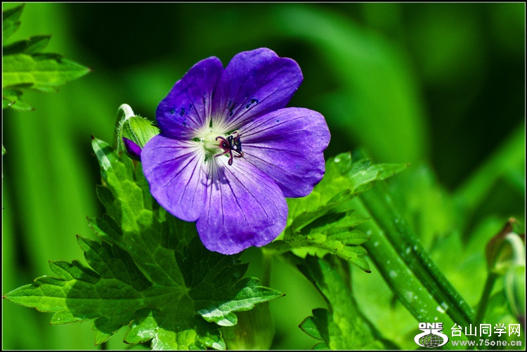 _DSC8238_.jpg