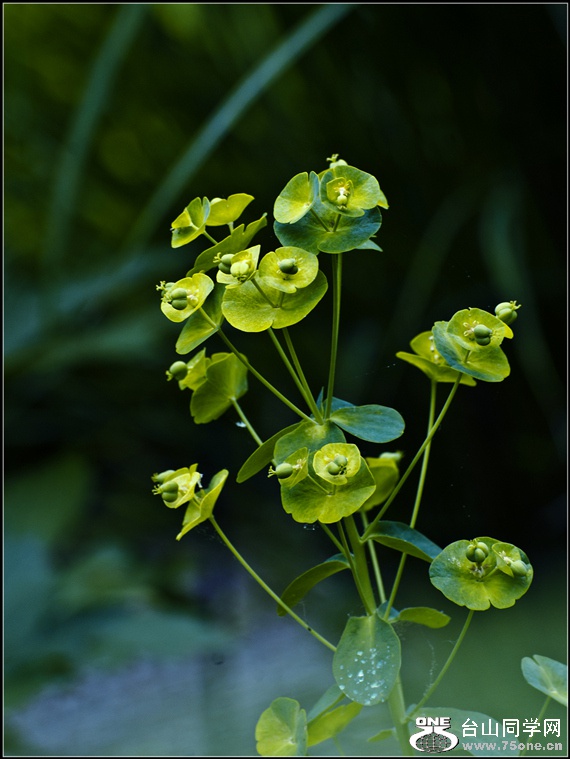 _DSC8191_.jpg