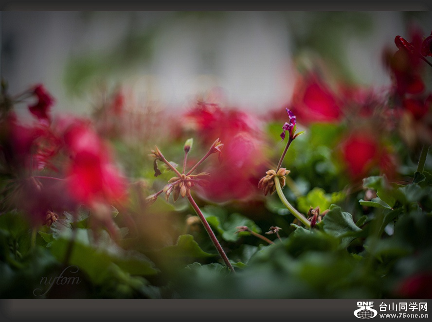 DSC_8067_.jpg