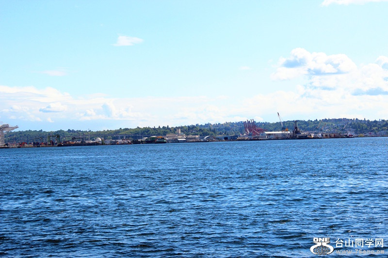 ���� 549_����.jpg