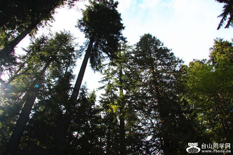 ���� 121_����.jpg