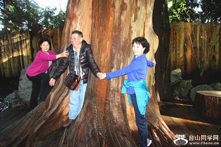 ���� 156_����_����.jpg