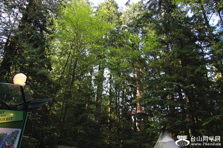 ���� 123_����_����.jpg