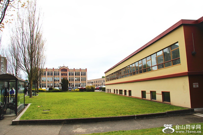 ���� 381_����.jpg