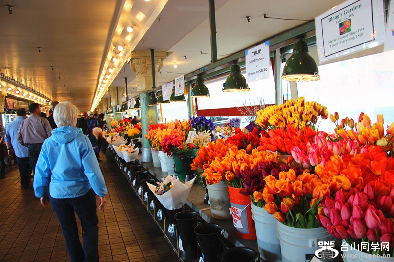 ���� 539_����.jpg