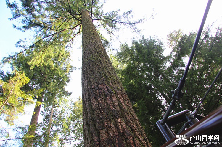 ���� 119_����_����.jpg