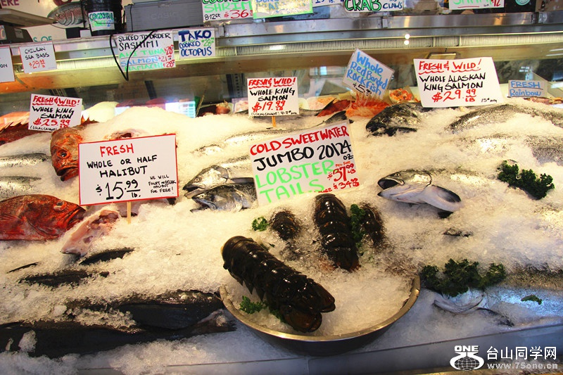 ���� 521_����.jpg