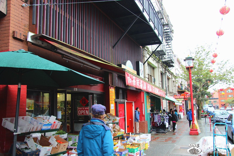 ���� 330_����.jpg