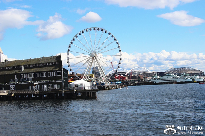 ���� 551_����.jpg