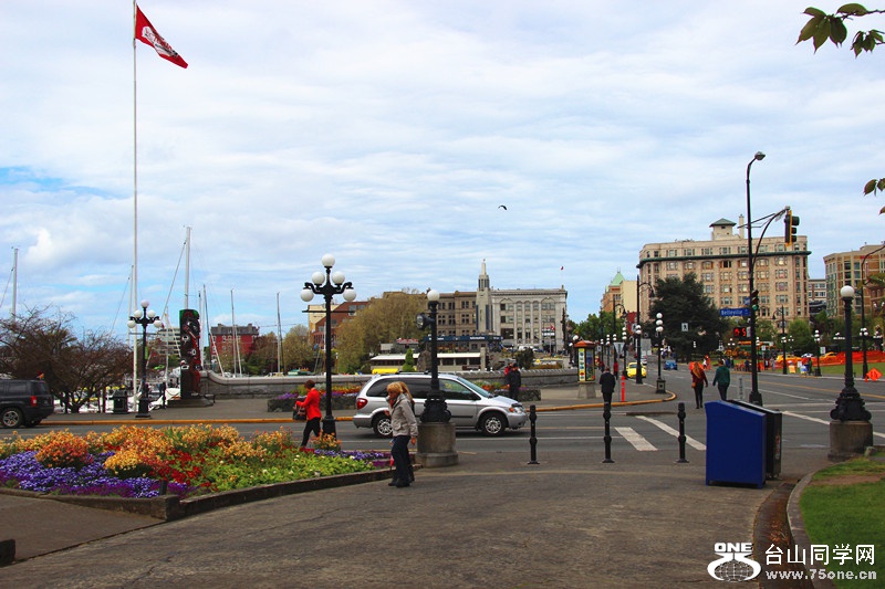 ���� 372_����.jpg