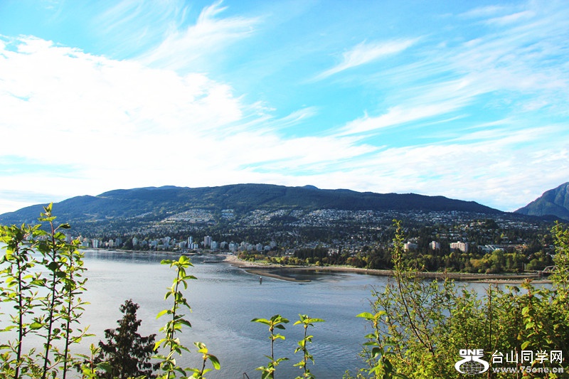 ���� 194_����.jpg