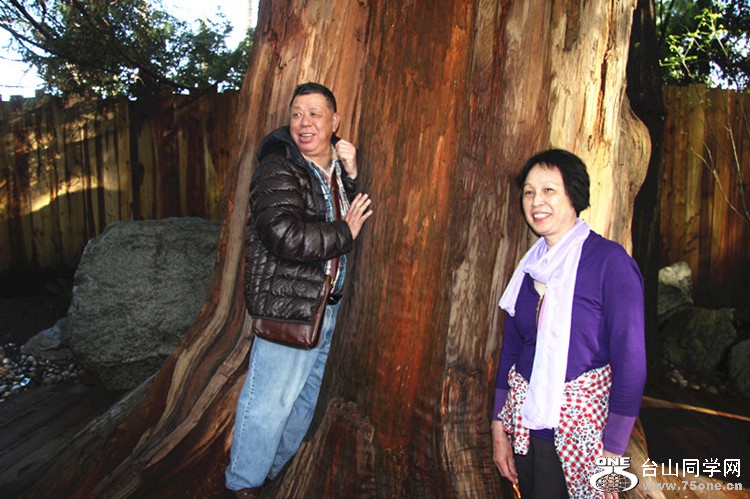 ���� 155_����_����.jpg