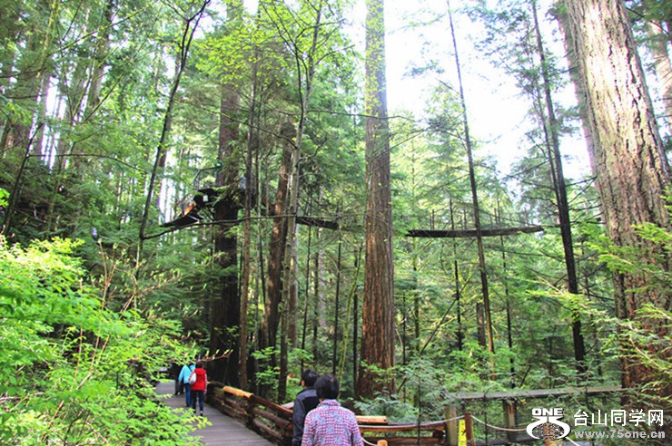 ���� 107_����_����_����.jpg