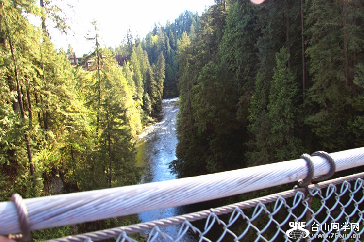 ���� 130_����.jpg