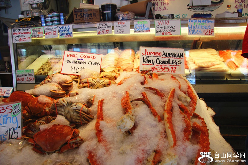 ���� 520_����.jpg