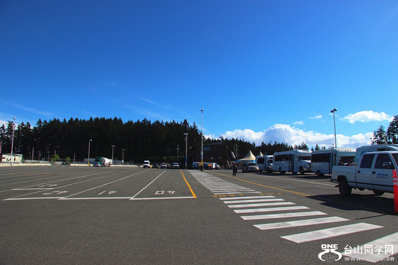 ���� 391_����.jpg