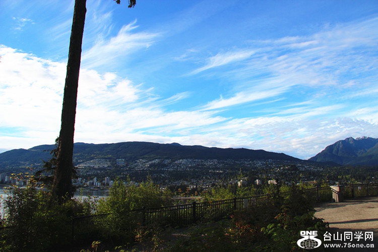 ���� 195_����.jpg