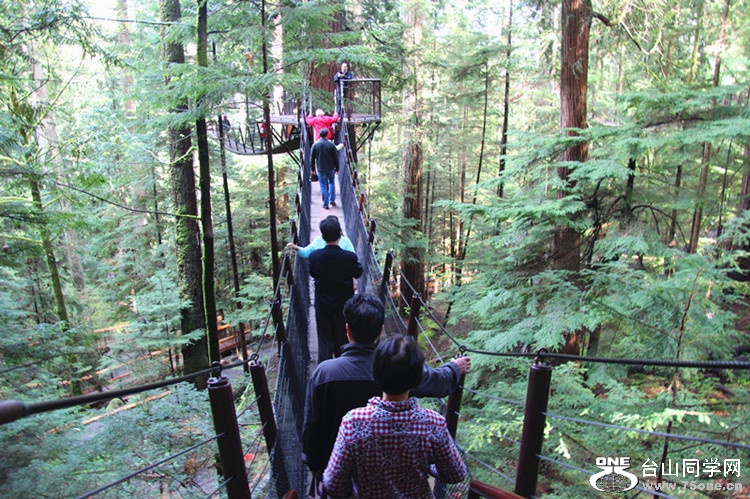 ���� 109_����_����.jpg