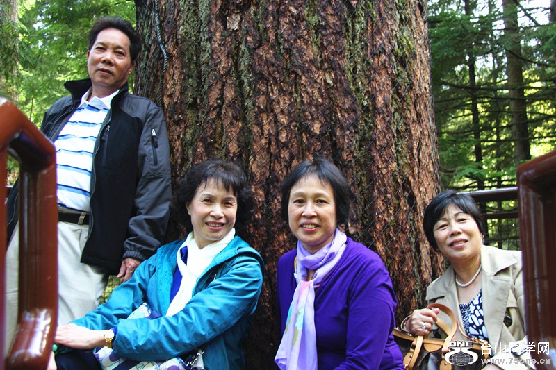 ���� 116_����.jpg