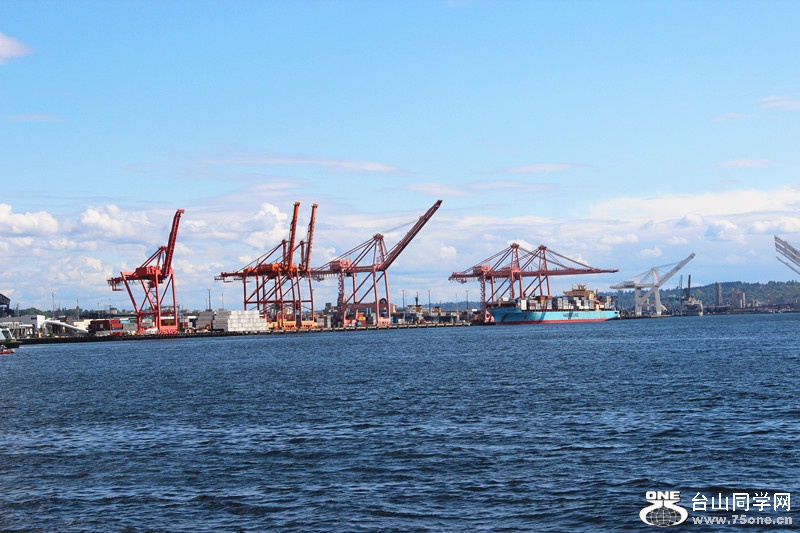 ���� 550_����.jpg