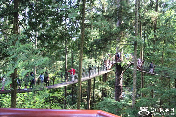 ���� 111_����_����.jpg