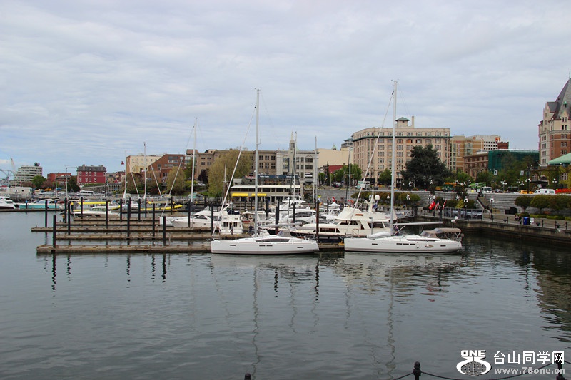 ���� 361_����.jpg