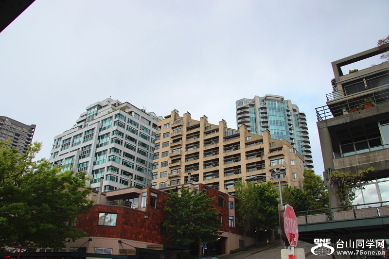 ���� 535_����.jpg