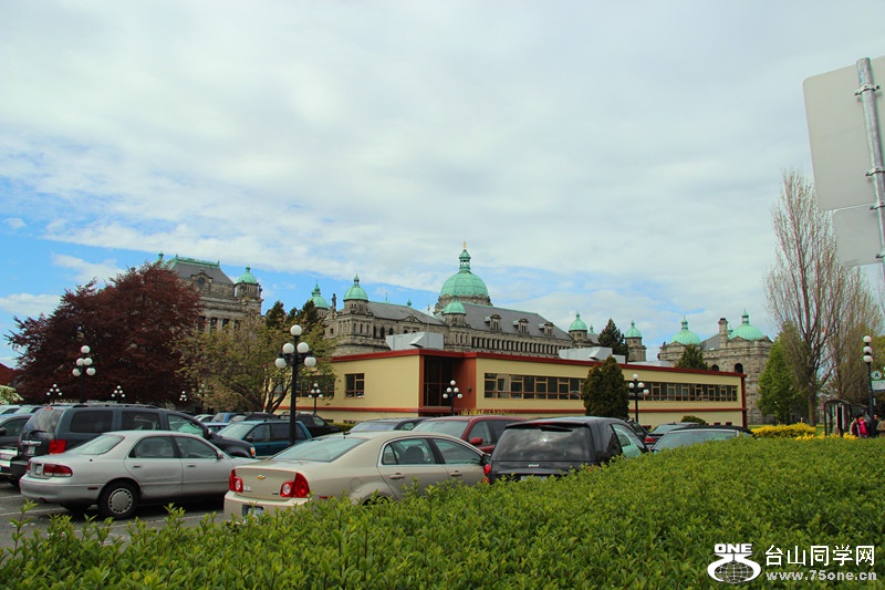 ���� 383_����.jpg