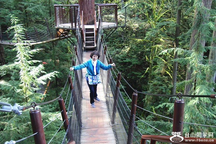 ���� 113_����_����.jpg