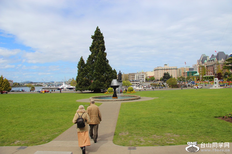 ���� 384_����.jpg