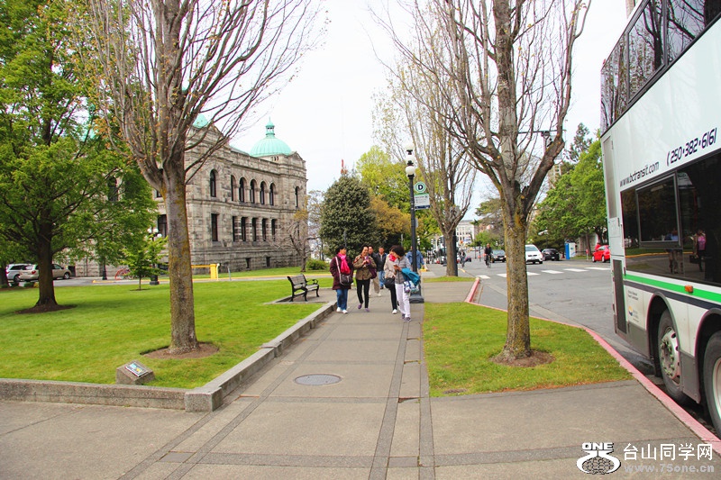 ���� 382_����.jpg