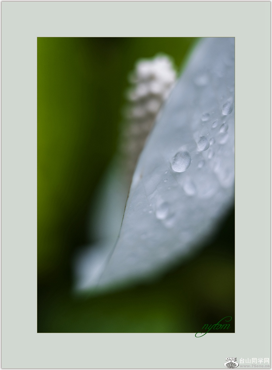 DSC_3370_.jpg