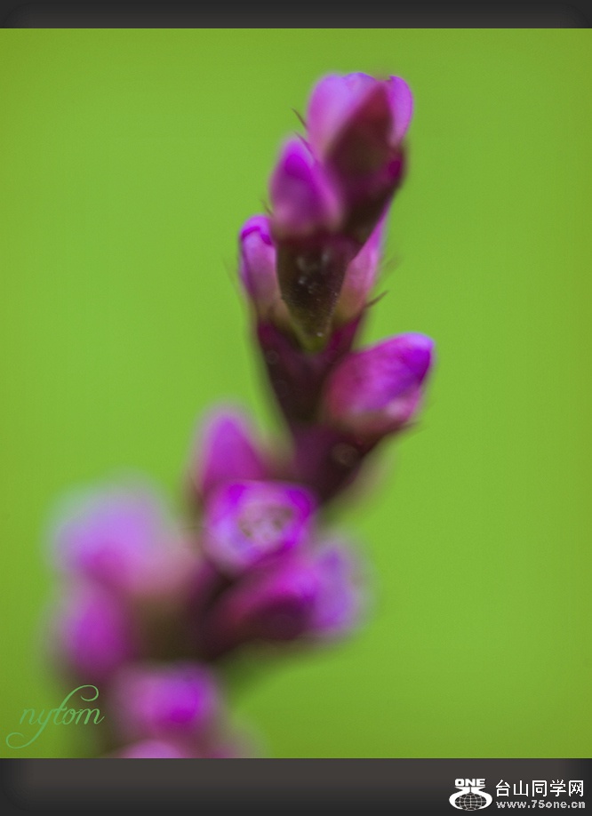 DSC_9475_.jpg
