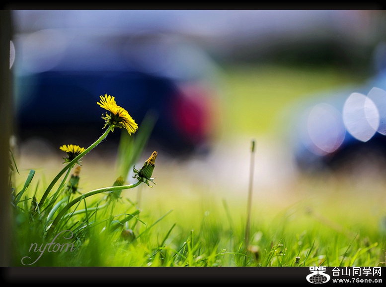 DSC_3070_.jpg