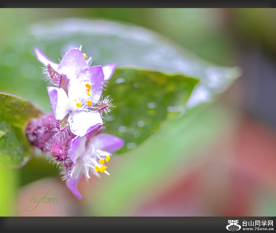 DSC_3401_.jpg