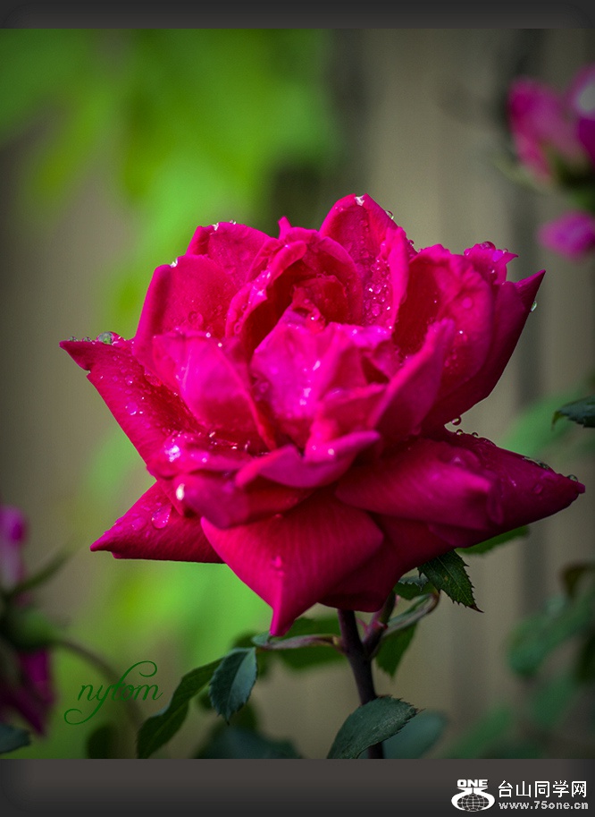 DSC_3980_.jpg