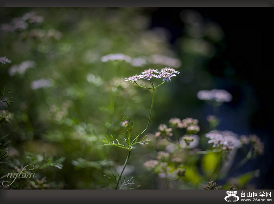 DSC_6422_.jpg