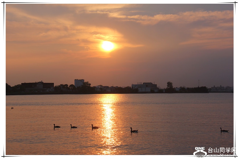 IMG_8408_.jpg
