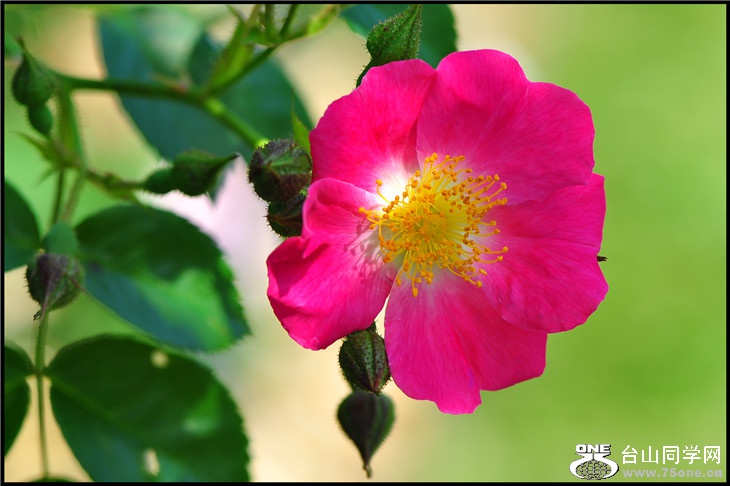 DSC_0228.jpg