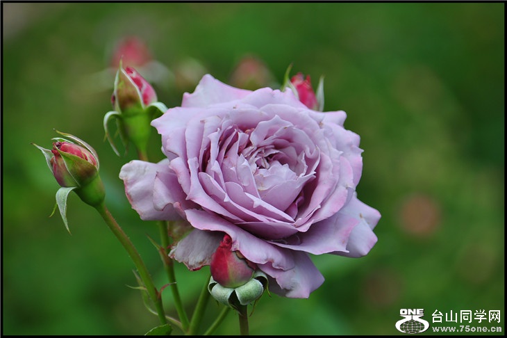DSC_0125.jpg