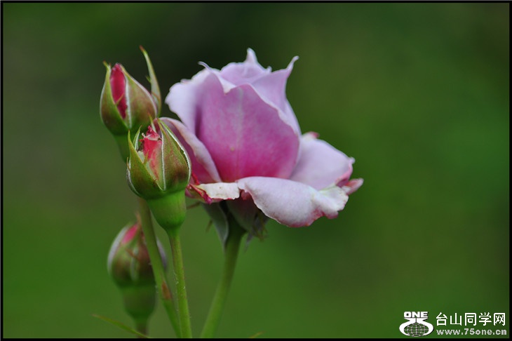 DSC_0126.jpg
