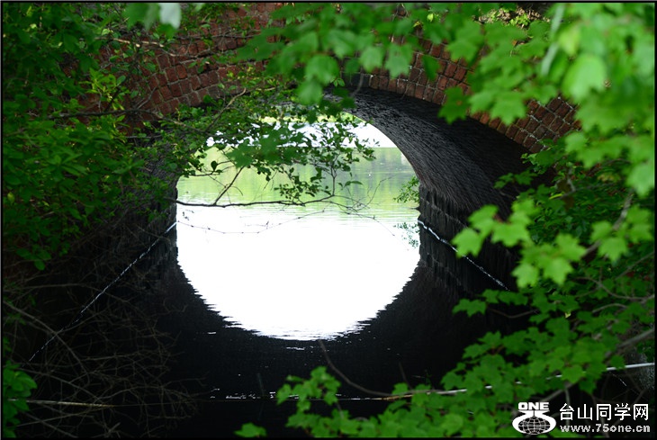 DSC_2460.jpg