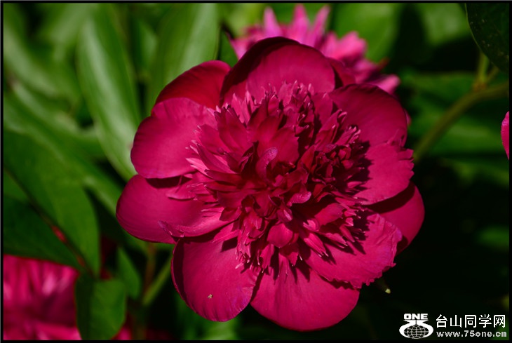 DSC_2289.jpg