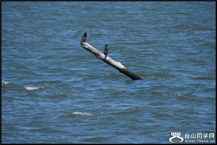 DSC_2586.jpg