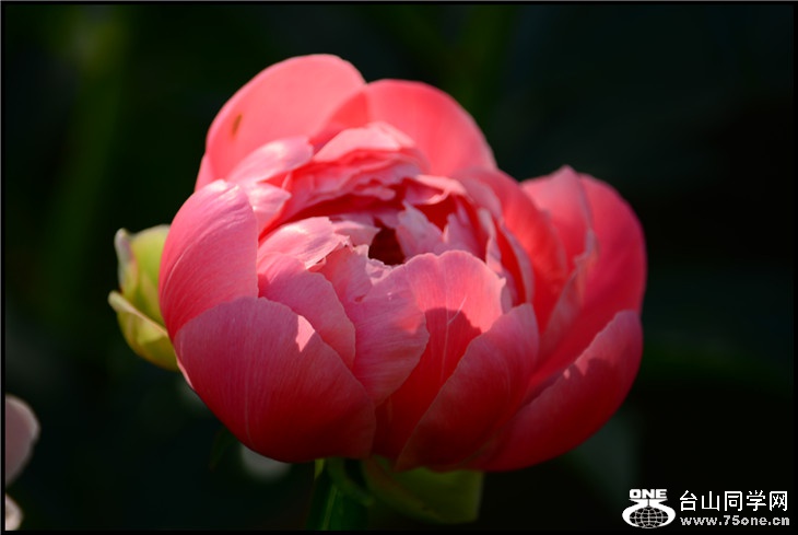 DSC_2316.jpg