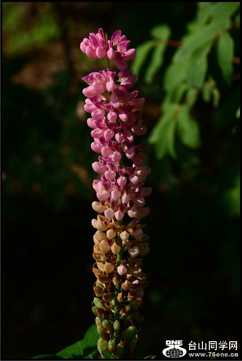 DSC_2292.jpg