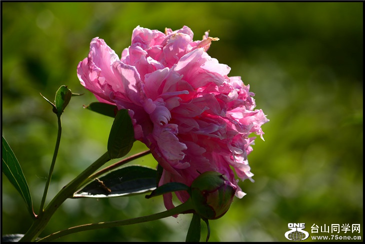DSC_2285.jpg