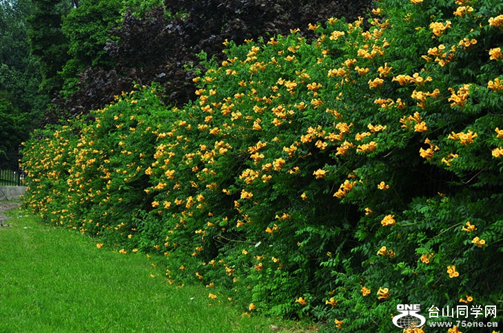 DSC_0443_.jpg