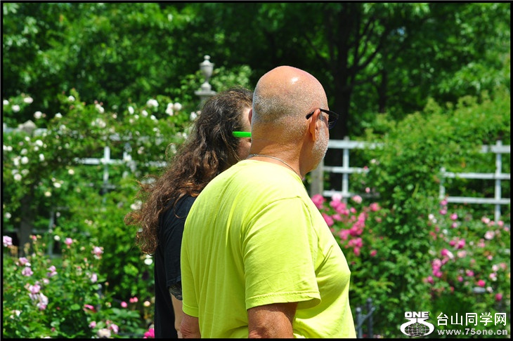 DSC_0267.jpg