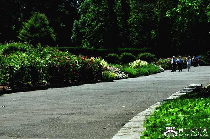 DSC_0287_a.jpg